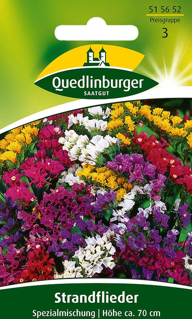 Quedlinburger Strandflieder Spezialmischung - Blumensamen Produktbild 