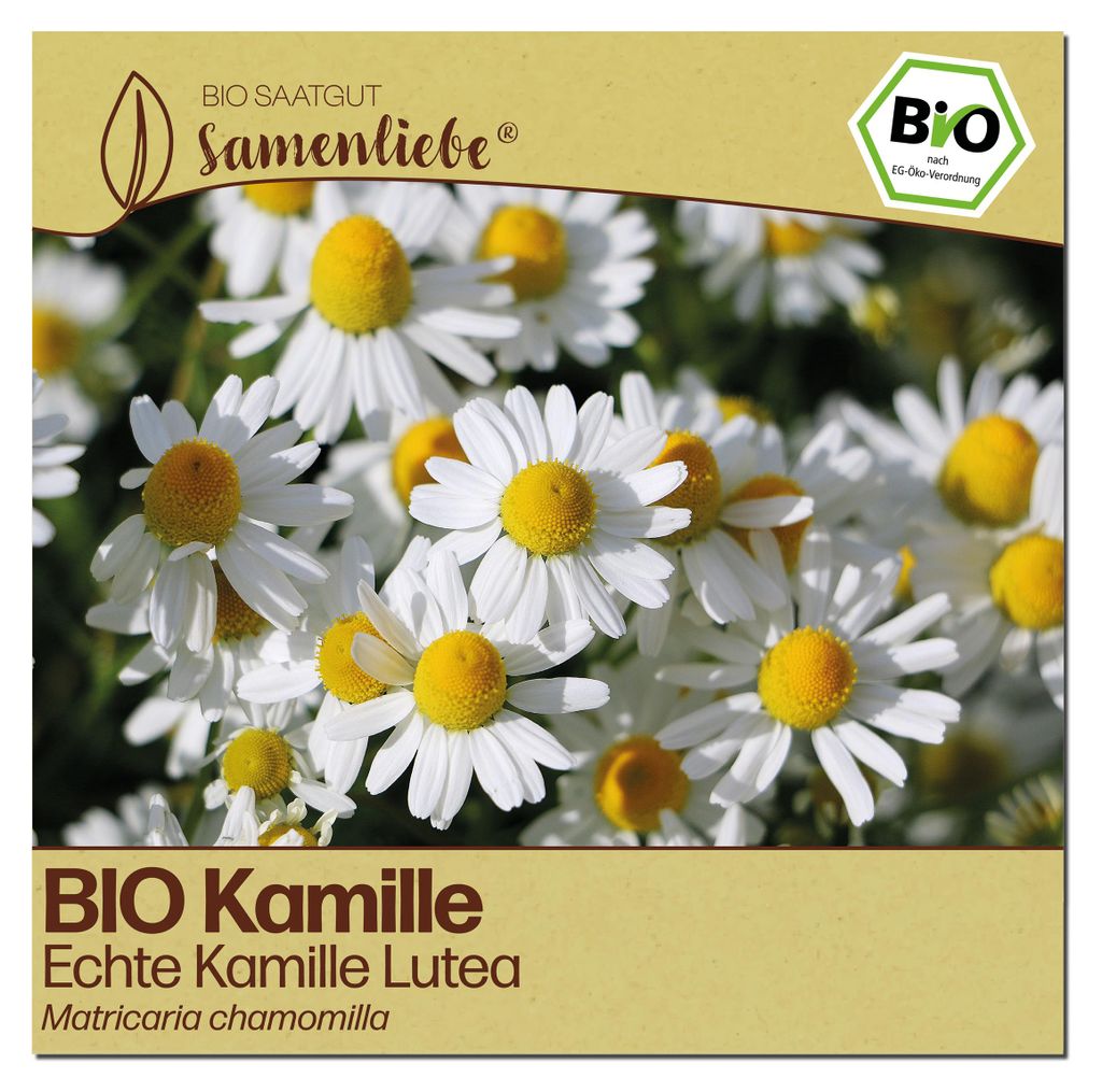 Samenliebe Kamille Samen | Echte Kamille - zweijährige Sorte Lutea - samenfestes Saatgut
