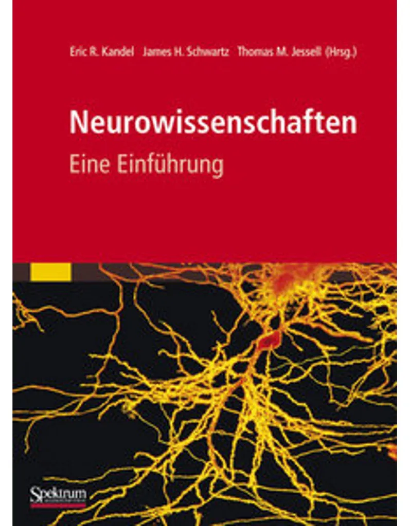 Manuel de Neurowissenschaften pour étudiants en biologie et médecine