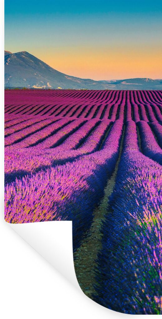 MuchoWow Wandtattoo Wandsticker Wandaufkleber Lavendel - Berg - Blumen 40x80 cm Selbstklebend und Repositionierbar - Repositionierbar - Wasser ab...