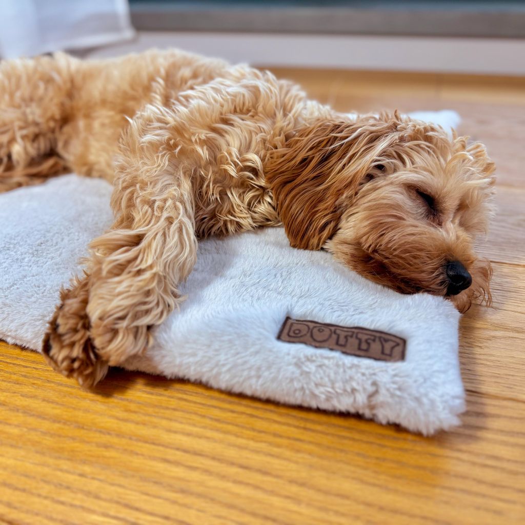 Fellmatte für Hunde, waschbar & rutschfest – Hundematte für Auto, Hundebox, Sofa – Reisebett für kleine & große Hunde - Creme ecru weiches ...