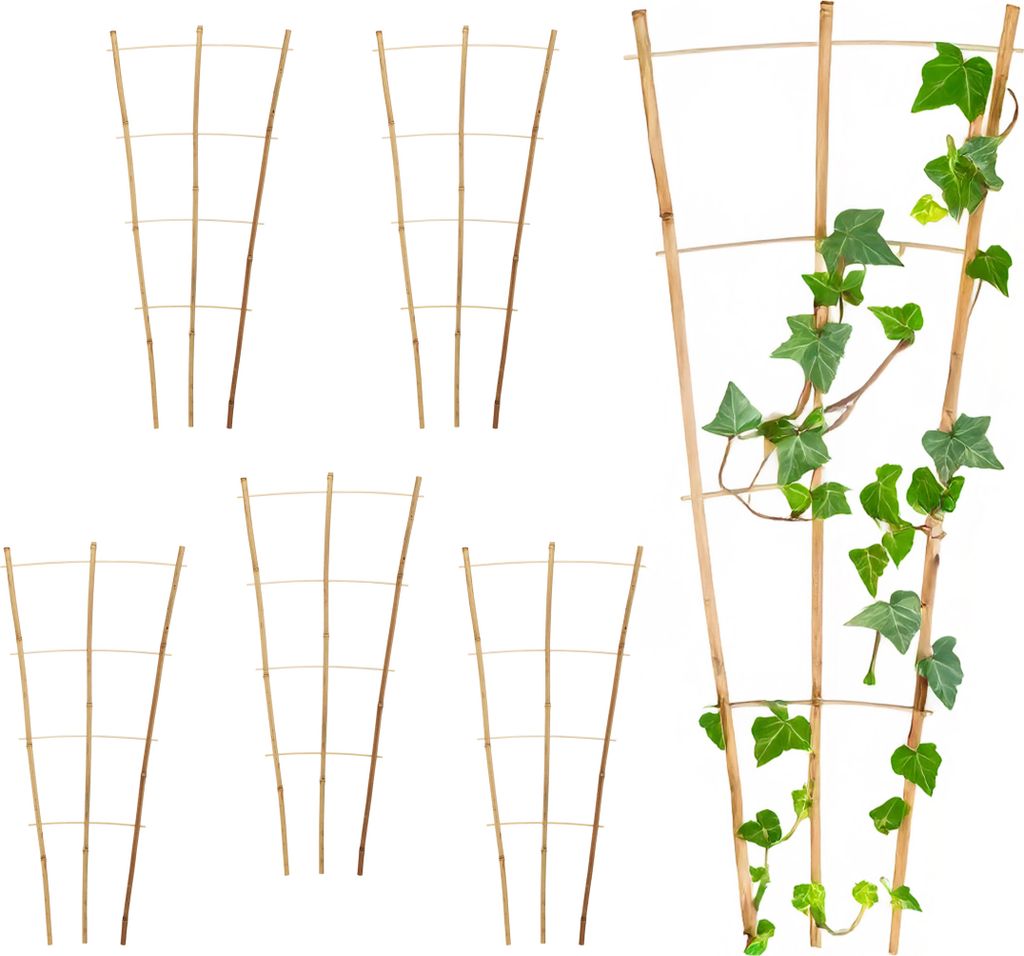3.08 Bambus Pflanzenstütze ca. 75x35 cm in natur - 6 Stück Produktbild 
