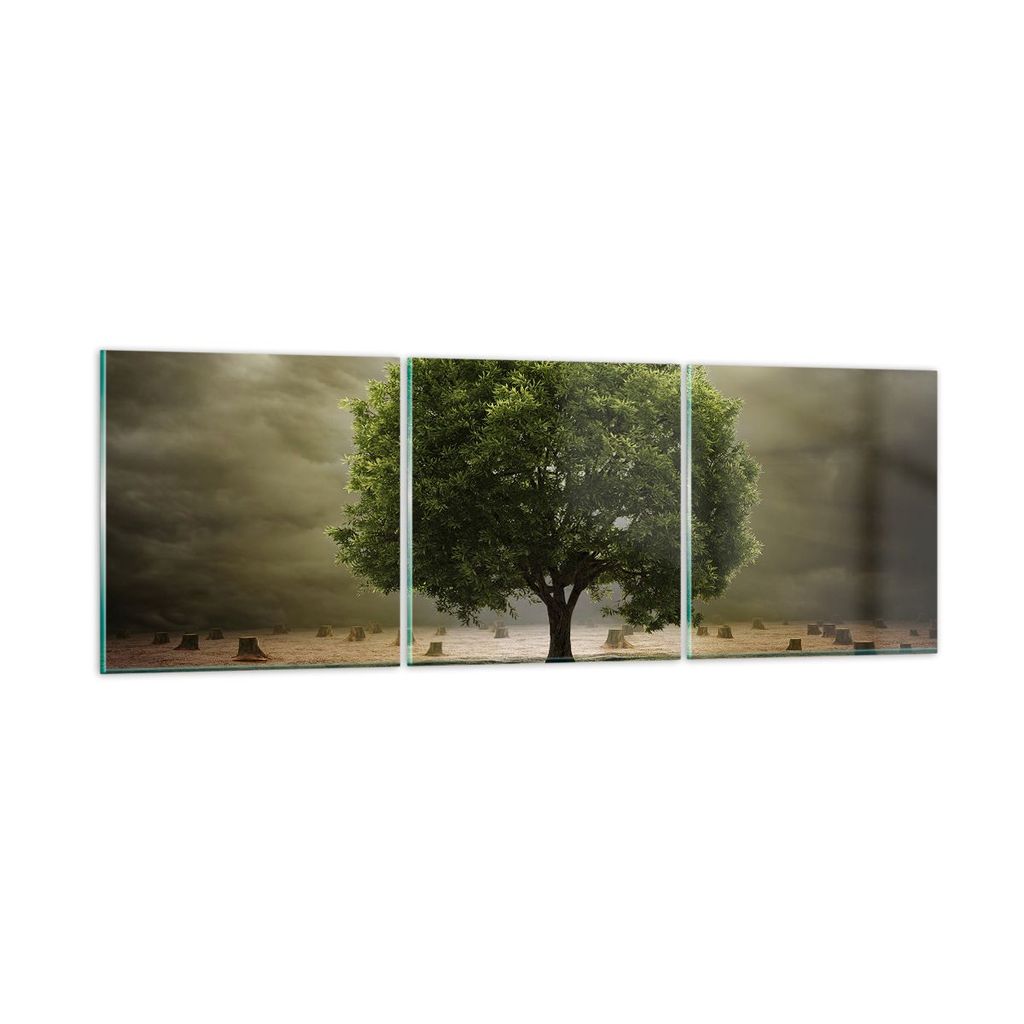 Bilder auf glas - Baum Feld Umwelt - 150x50cm - Glasbilder - Wandbilder - Kunstdruck - zum Aufhängen bereit - Wanddekoration aus Glas - Glas Bilde...