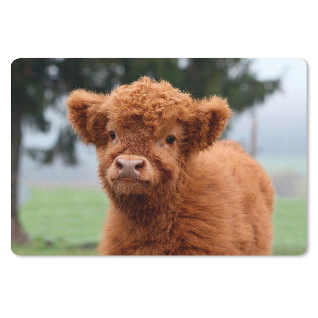 MuchoWow Mauspad Mousepad Scottish Highlander - Kalb - Gras 27x18 cm - Mousepads - Maus Mat - Pad - Mausunterlage - Büroartikel - Desk Matten