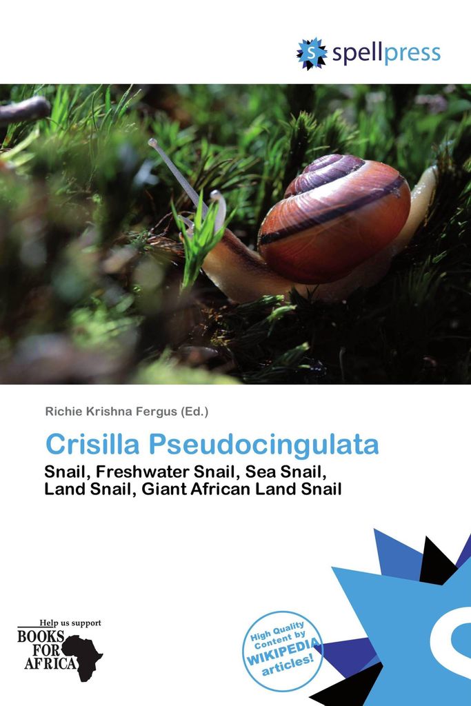 Crisilla Pseudocingulata