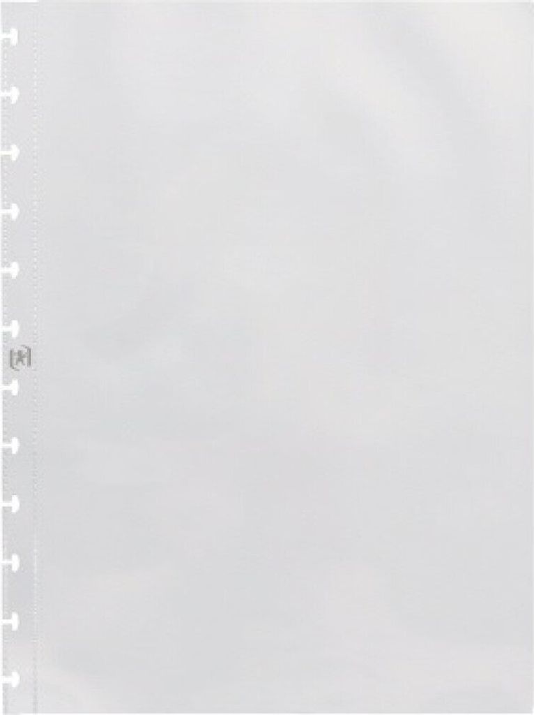 A single clear plastic sheet protector with punched holes on the left side.