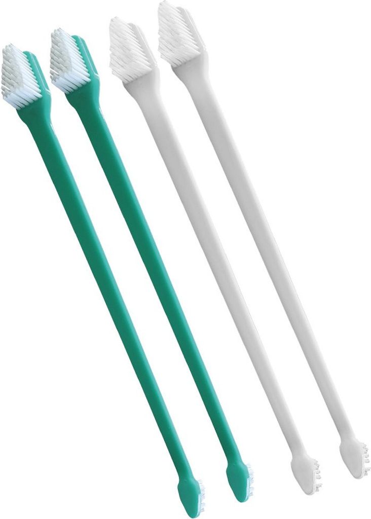 NOBBY Zahnbürsten-Set, 4er Pack