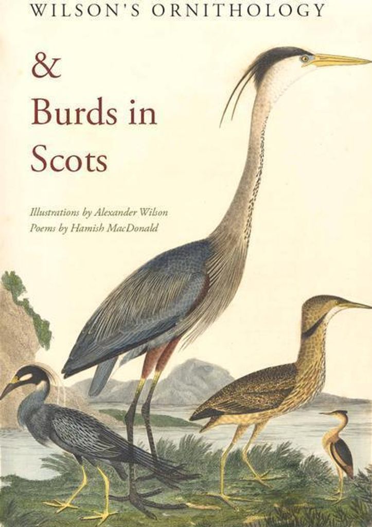 Wilson's Ornithology And Burds In Scots – Lingua: Inglese