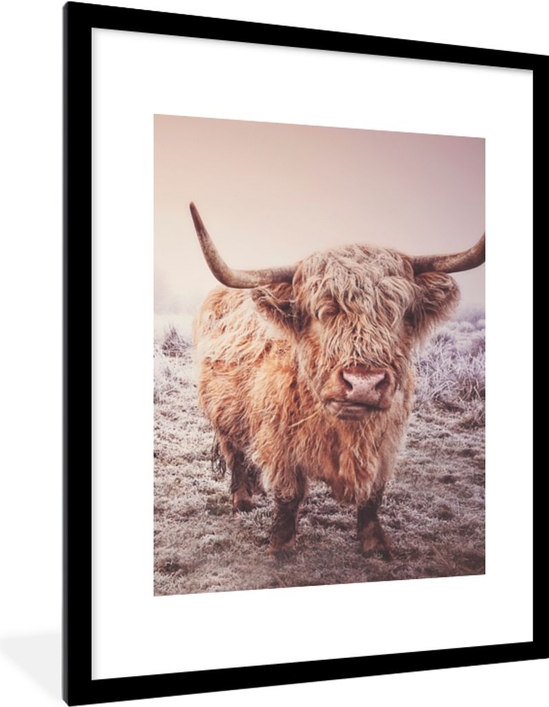 MuchoWow Gerahmtes Poster Schottische Highlander - Schnee - Sonne 60x80 cm - Poster mit Schwarzem Bilderrahmen Wandposter Rahmen Foto Bilder - Wo...