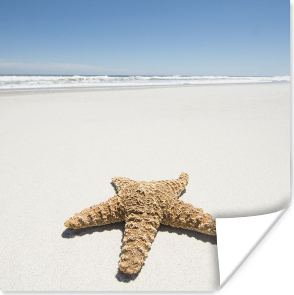 MuchoWow Poster Seestern - Strand - Himmel 50x50 cm - Wohnzimmerdekoration