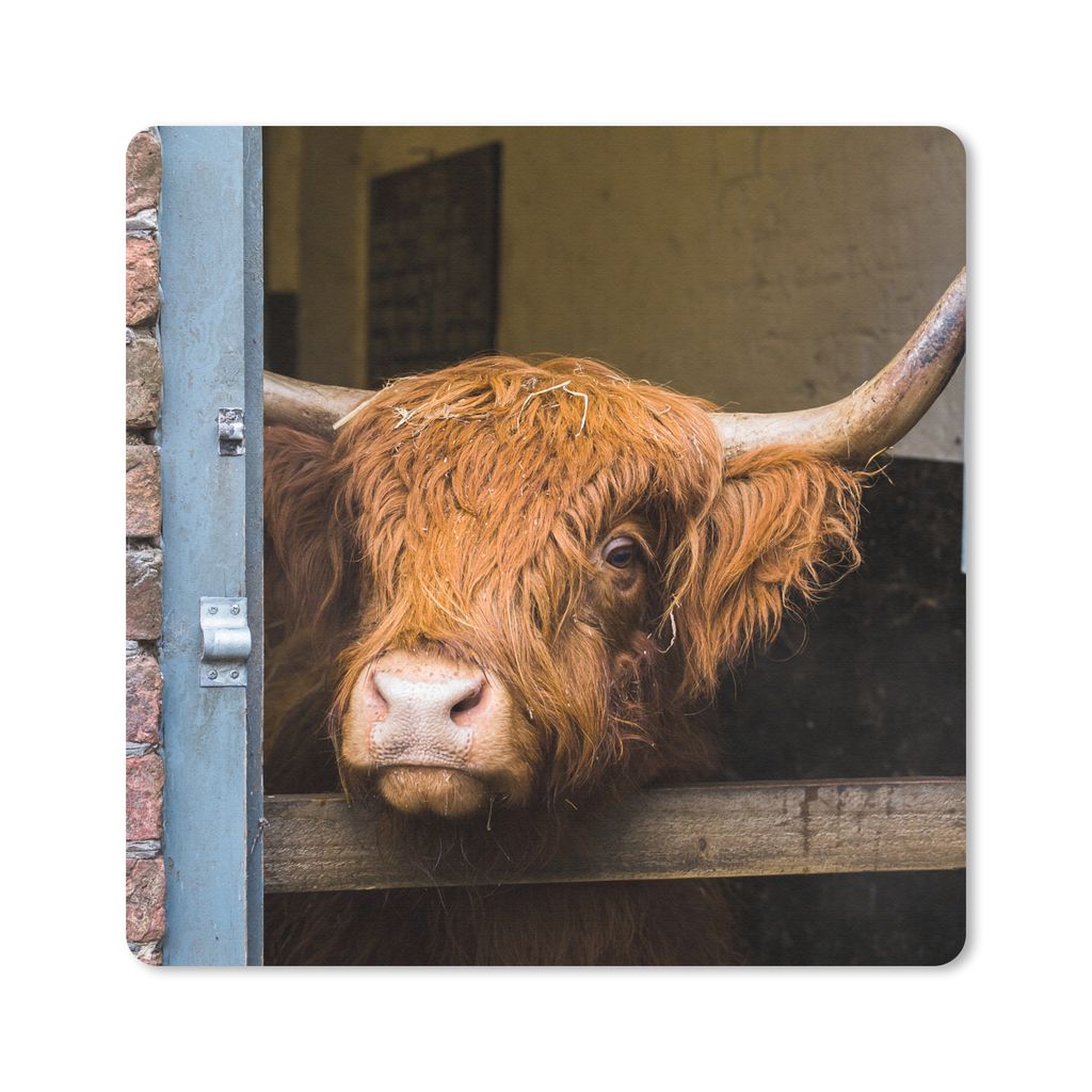 MuchoWow Mauspad Mousepad Schottischer Highlander - Bauernhaus - Scheune 30x30 cm - Mousepads - Maus Mat - Pad - Mausunterlage - Gaming