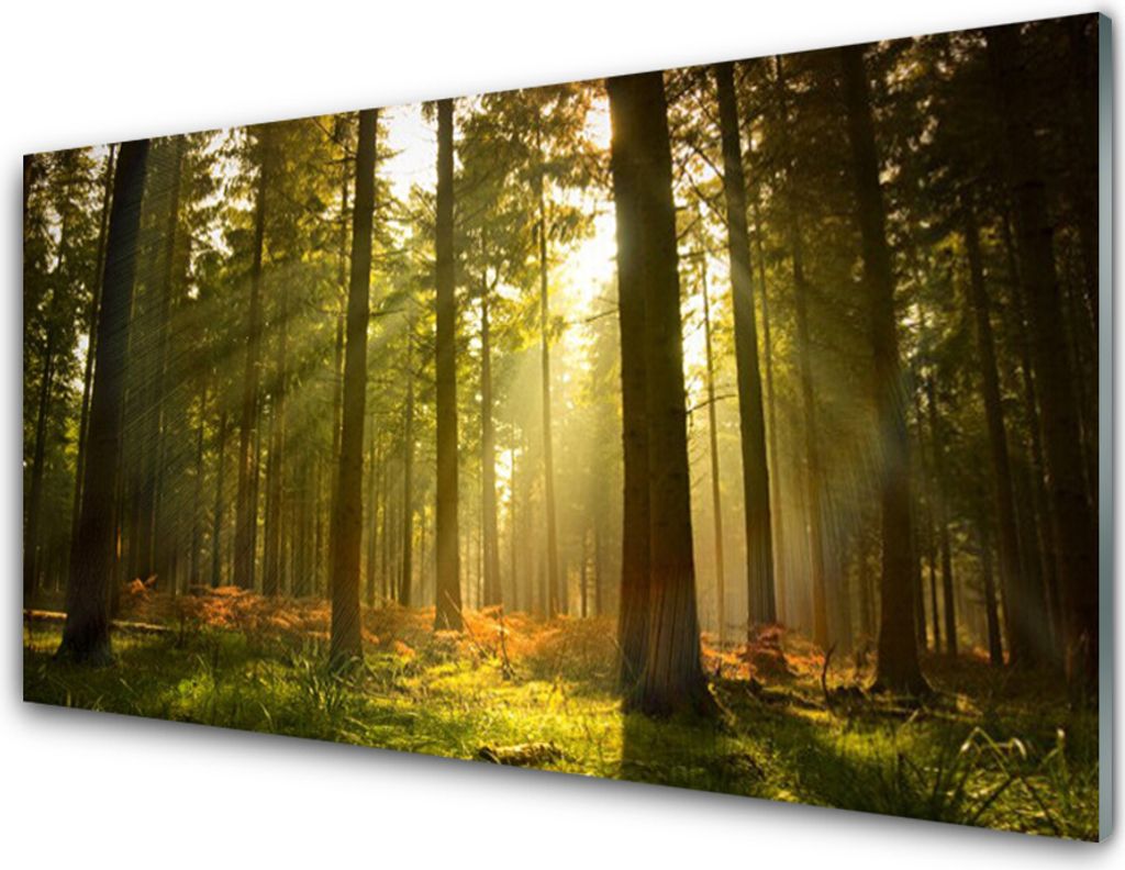 Küchenrückwand aus Glas 100x50cm Spritzschutz Wald Natur