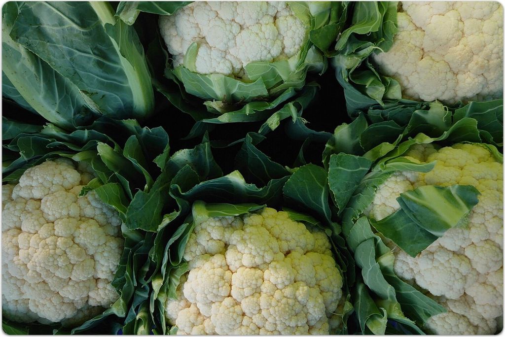 Küchenmatte 80x120 cm Vinylmatte Bodenmatte Dekoration - Blumenkohlblüten Gemüse