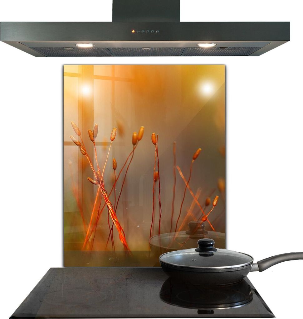 Spritzschutz aus Glas Küchenrückwand - Wandschutz für Herd und Spüle - 60x80 cm - Getreidefeld bei Sonnenuntergang