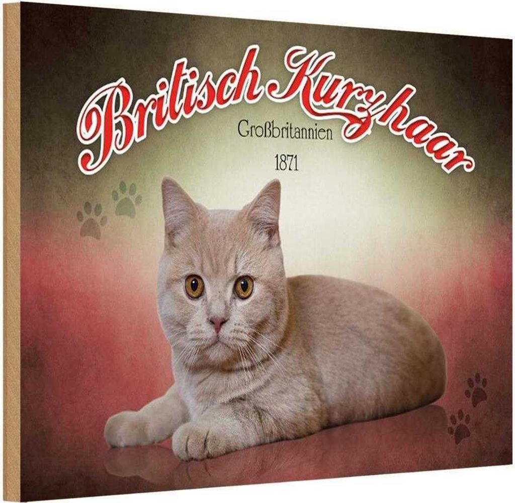 vianmo Holzschild 12x18 cm Katze British Kurzhaar Großbritanien Tier Haustier