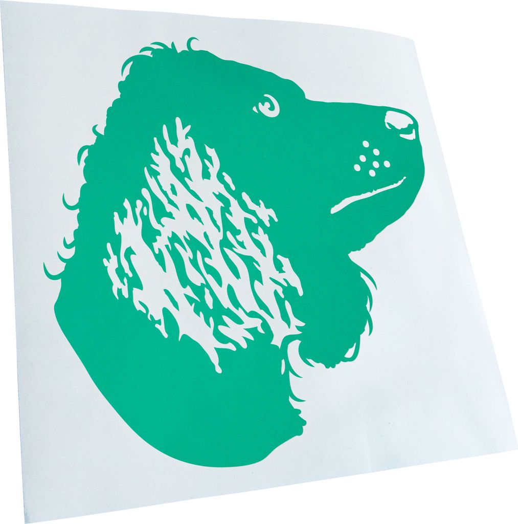 Kiwistar - Autoaufkleber - American Water Spaniel - Türkis - 30x30cm - Aufkleber für Auto, Laptop, Fahrrad, LKW, Motorrad mehrfarbig JDM Decal Ra...