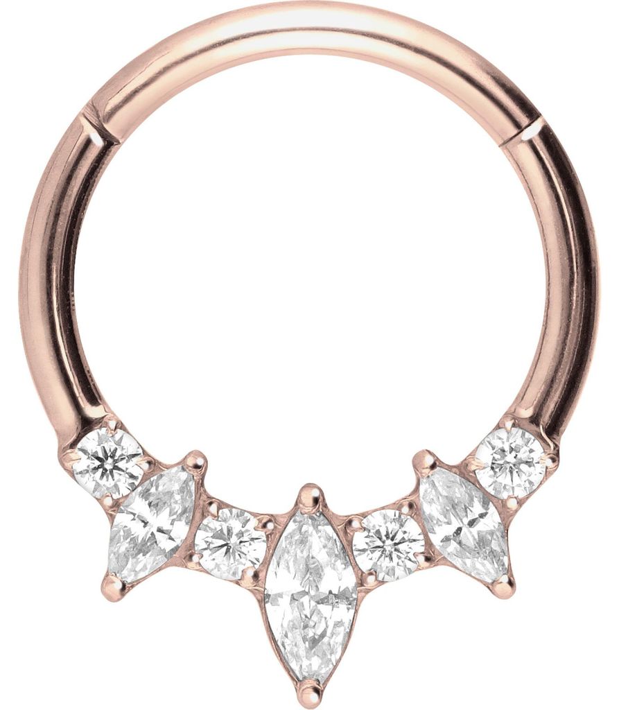 Ohrpiercing, Nasenpiercing, Septum Piercing Titan Segmentring Clicker EINGEFASSTE KRISTALLTROPFEN + KRISTALLE