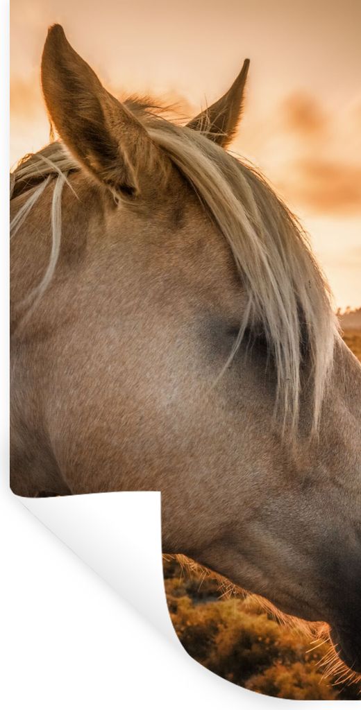 MuchoWow Wandtattoo Wandsticker Wandaufkleber Pferd - Tiere - Porträt 40x80 cm Selbstklebend und Repositionierbar - Repositionierbar - Wasser ab...