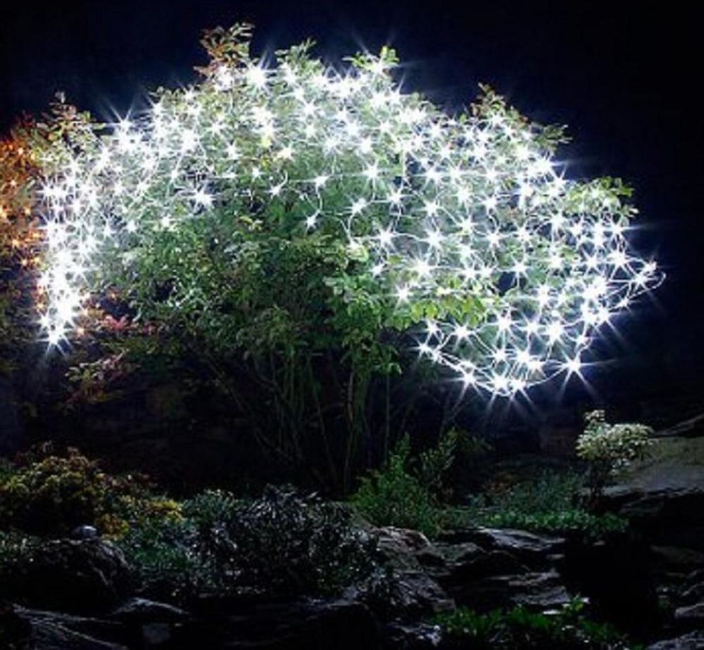 A bush decorated with many white LED lights at night.