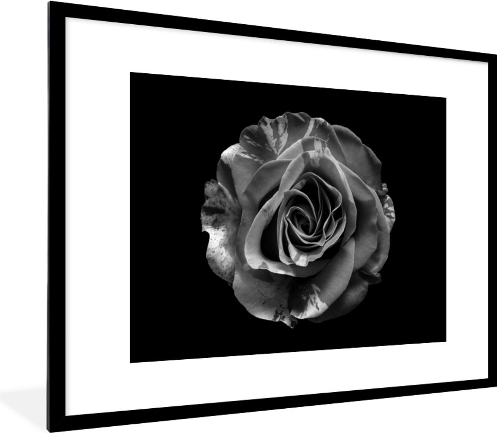 MuchoWow Gerahmtes Poster Blumen - Rose - Schwarz - Weiß - Botanisch 80x60 cm - Poster mit Schwarzem Bilderrahmen Wandposter Rahmen Foto Bilder ...