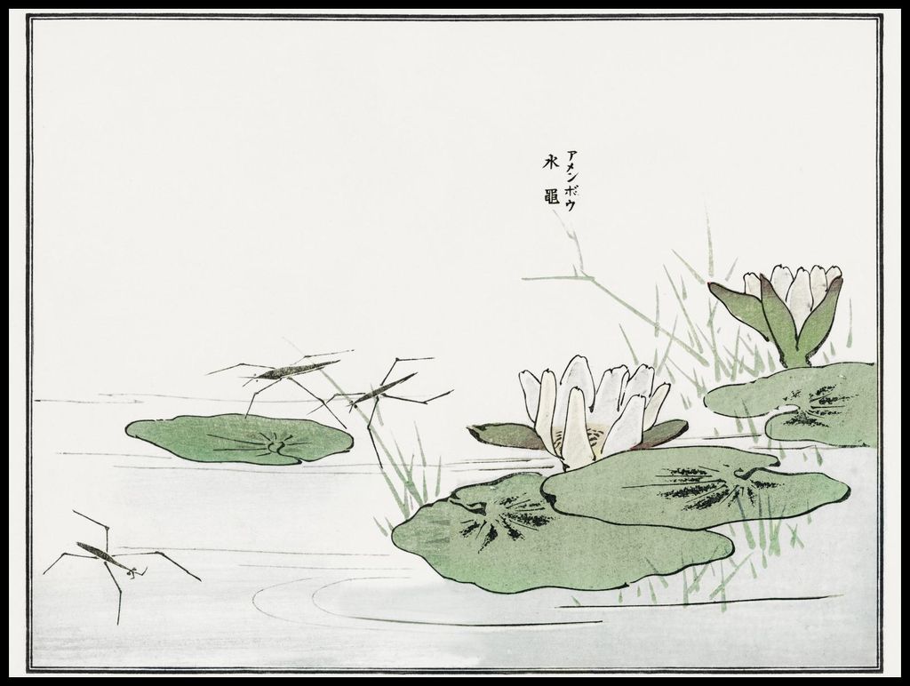 Plakat 100x75cm Nartniki im Teich Morimoto Toko Japanisch Vintage für das Wohnzimmer