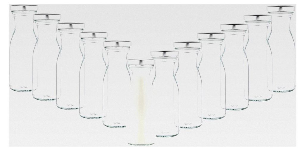 12er Set Milchflaschen 250ml mit Twist-Off Deckel TO53 Silber