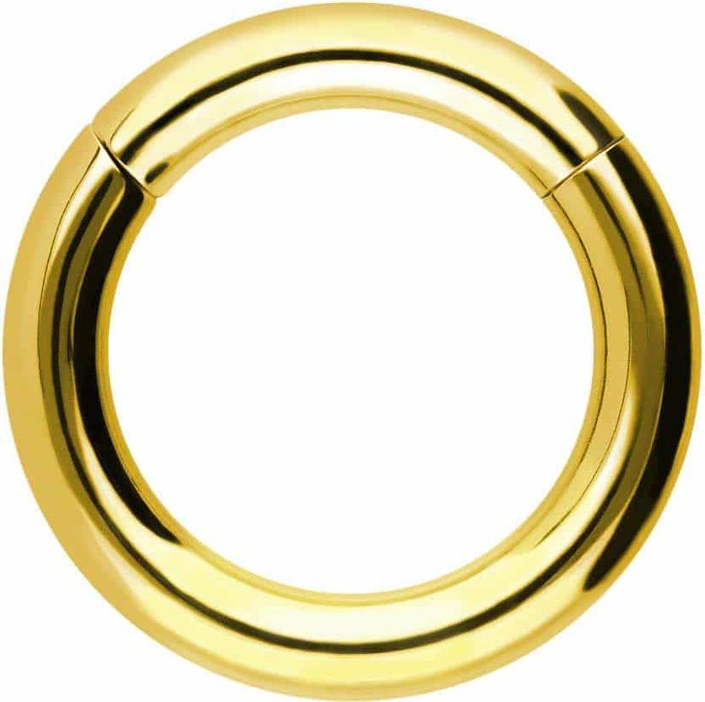 Ohrpiercing, Nasenpiercing, Septum Piercing Titan Segmentring Clicker Gold Innendurchmesser: 16mm + Stabstärke: 4mm