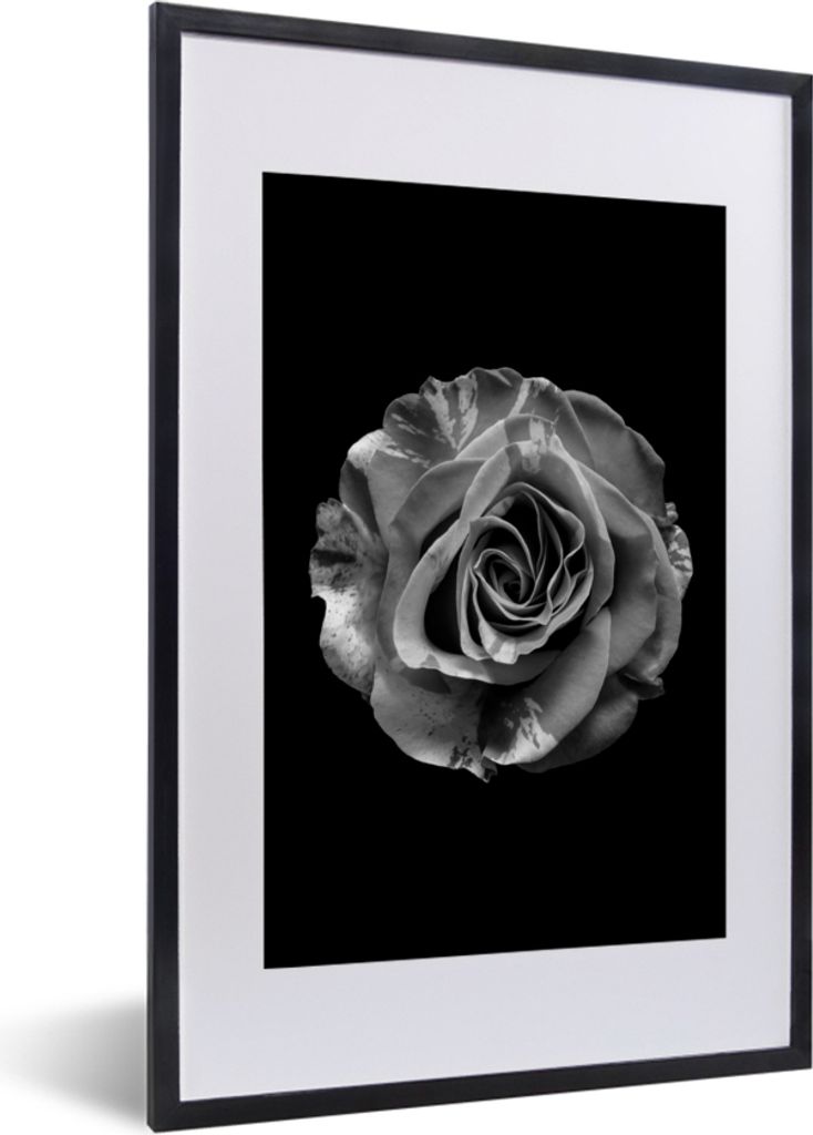 MuchoWow Gerahmtes Poster Blumen - Rose - Schwarz - Weiß - Botanisch 40x60 cm - Poster mit Schwarzem Bilderrahmen Wandposter Rahmen Foto Bilder ...