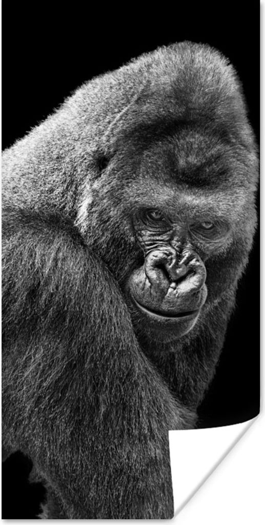 MuchoWow Poster Ein prächtiger Gorilla blickt herab 40x80 cm - Dekoration