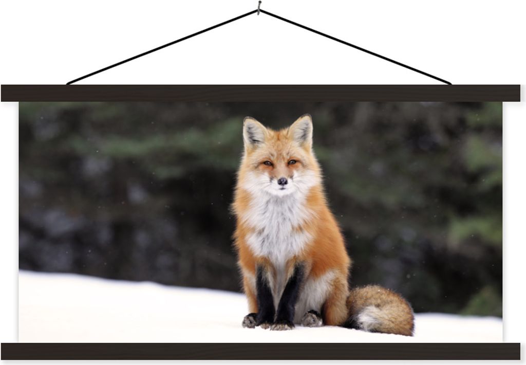 MuchoWow Textilposter Fuchs - Schnee - Rot 150x75 cm mit schwarzem Rahmen - Posterleiste