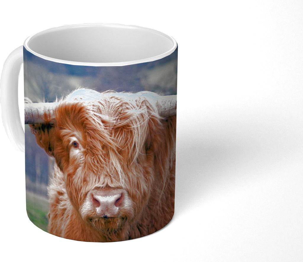 MuchoWow Tasse Kaffeetasse Kaffeebecher 350 ml Schottisches Hochlandrind - Hörner - Berg Teetasse - Fototasse - Becher - Keramikbecher - Teebech...