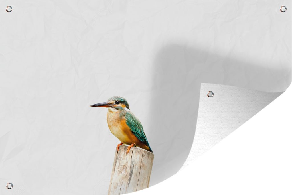 MuchoWow 90x60 cm Outdoor-Poster Gartendeko Sichtschutz Garten Poster für den Garten Eisvogel - Federn - Pfahl