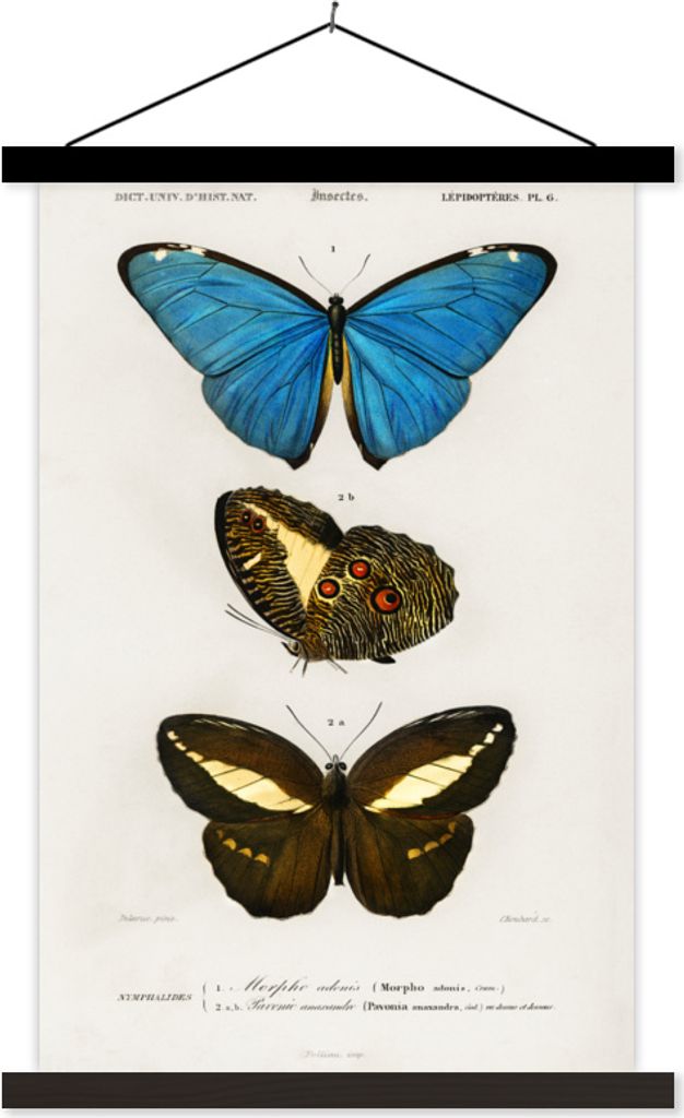 MuchoWow Textilposter Schmetterling - Vintage - Insekten 40x60 cm mit schwarzem Rahmen - Wanddekorationen