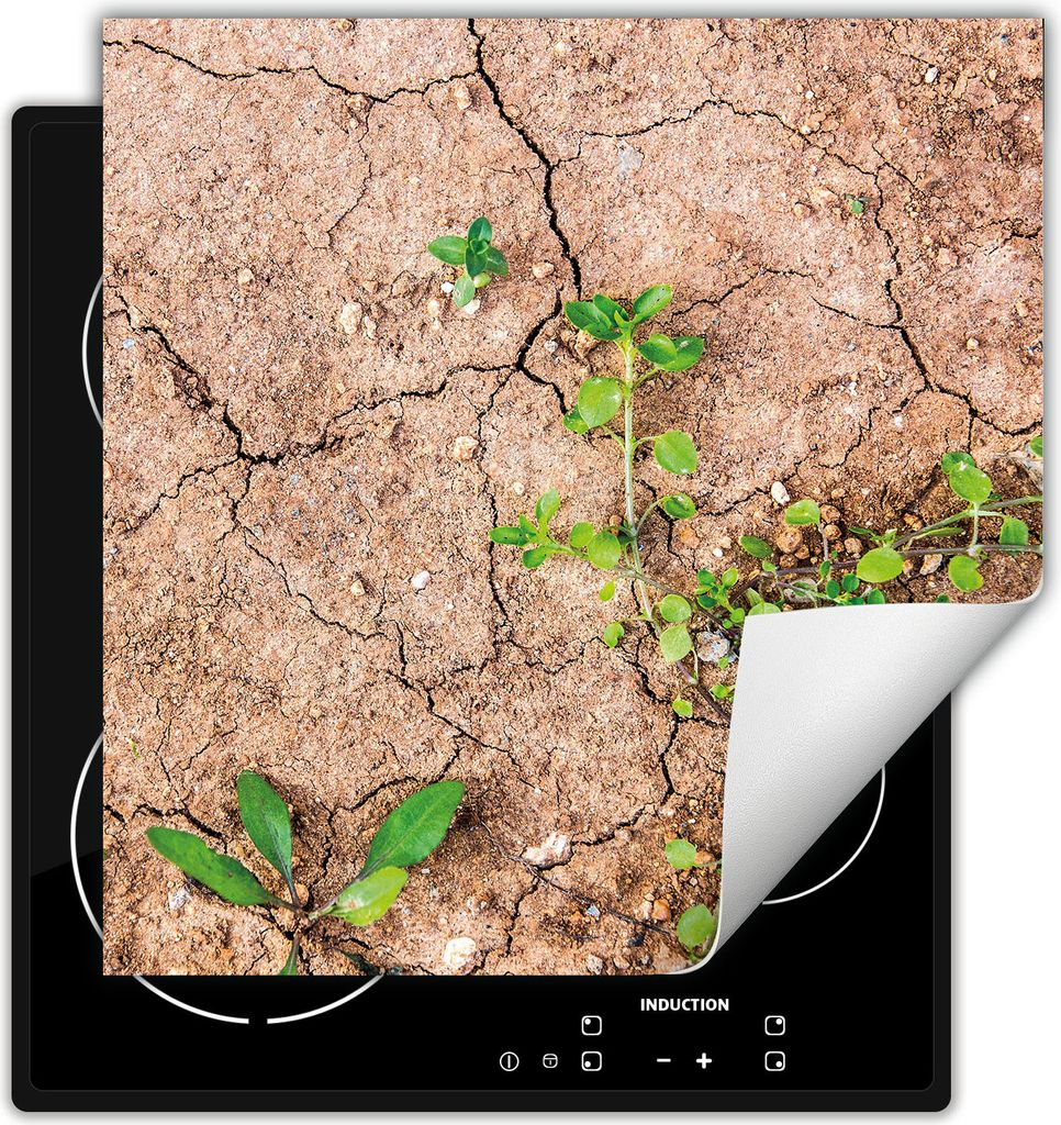 DarHaus Herdabdeckplatte 60x52 cm Anti Rutsch Matte Aufrollbar, Land - Anlage