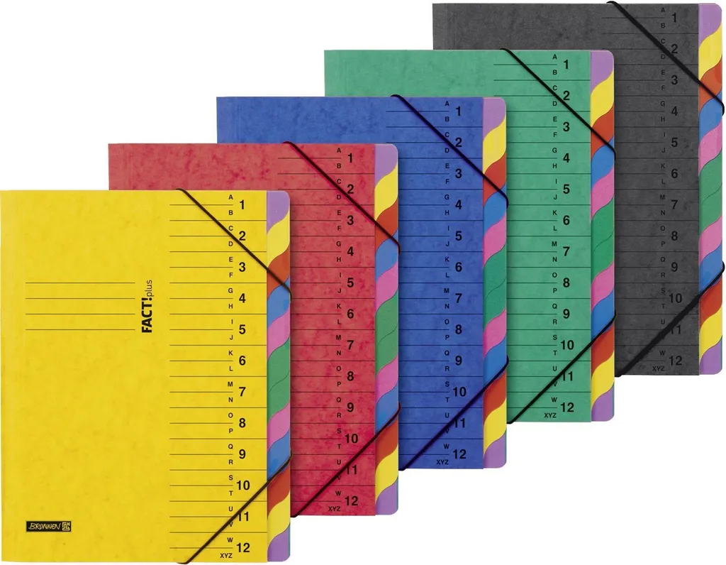 Trieur à dossiers A4 en carton rigide - 5 classeurs couleurs Fact!plus