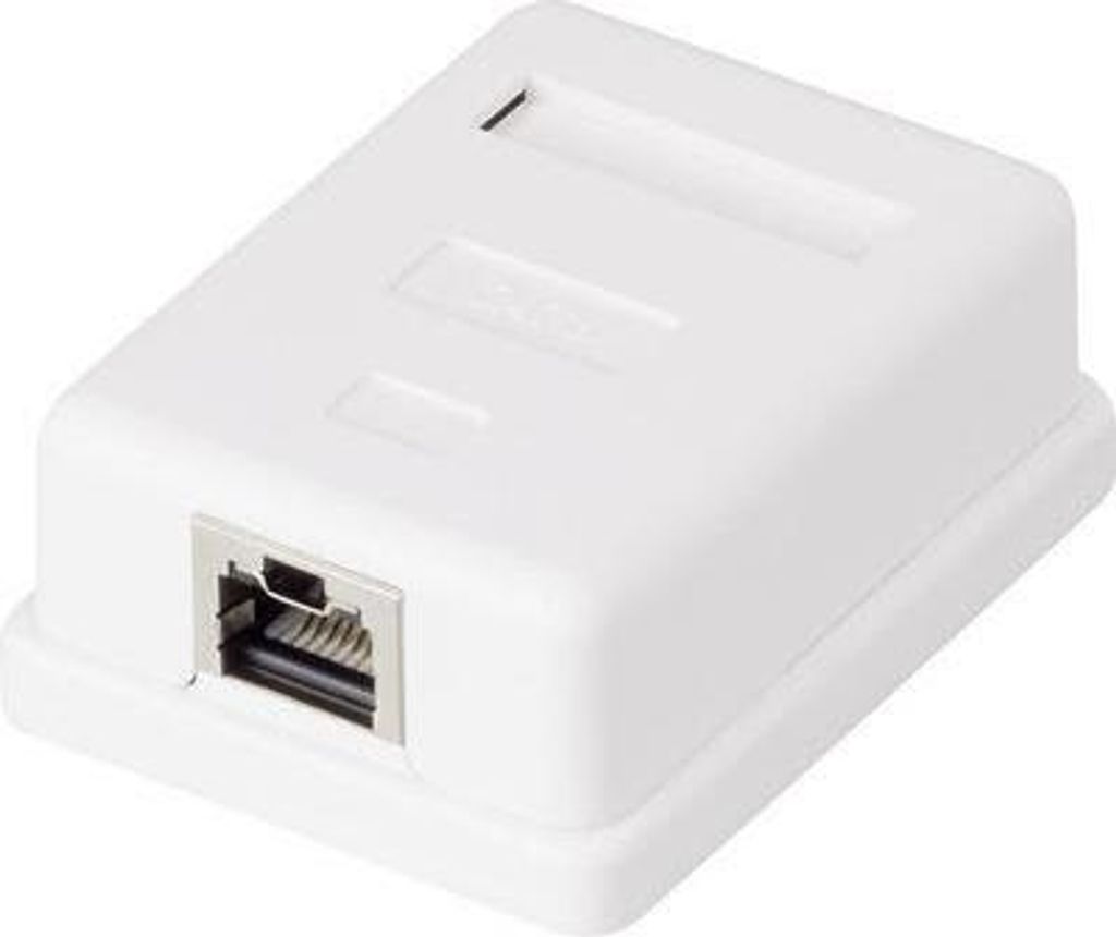 renkforce Netzwerkdose Aufputz CAT 6 1 Port Weiß