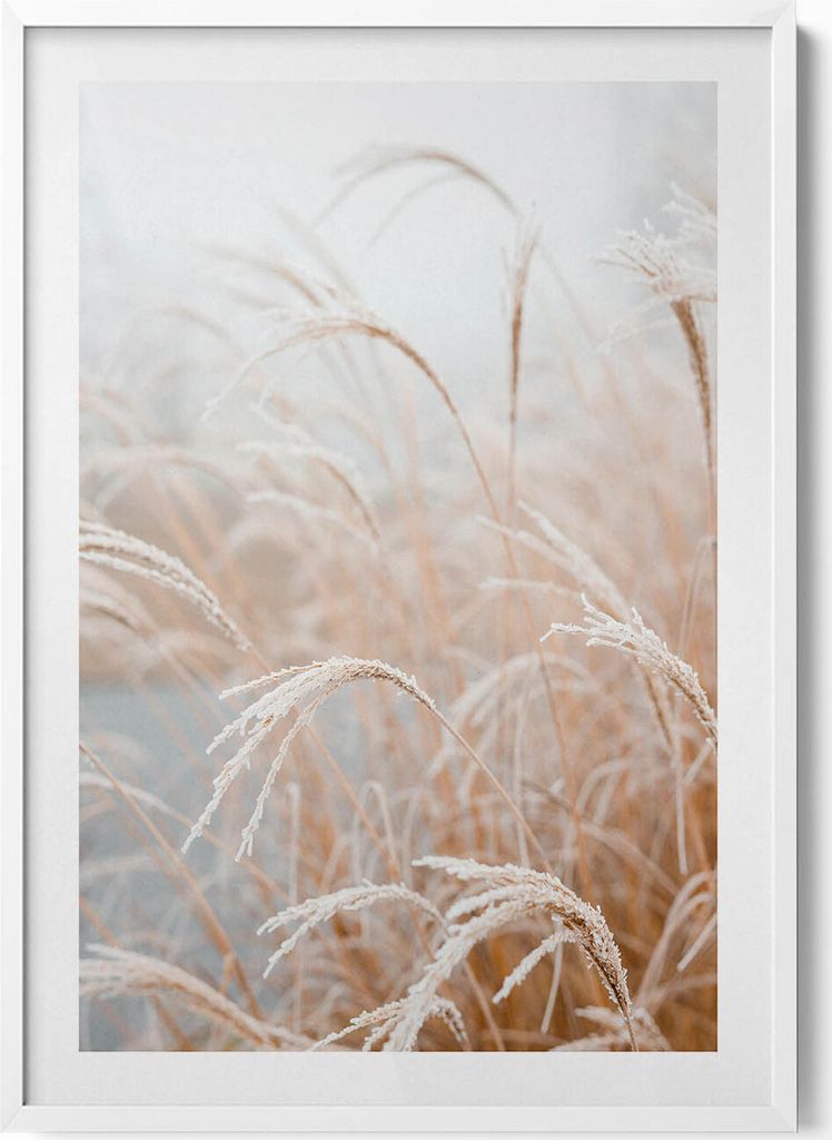 Zarte Gräser im Boho-Stil– Wandbild mit Rahmen – Gerahmtes Bild – Wanddekoration – 70x100 cm – Weiß Rahmen