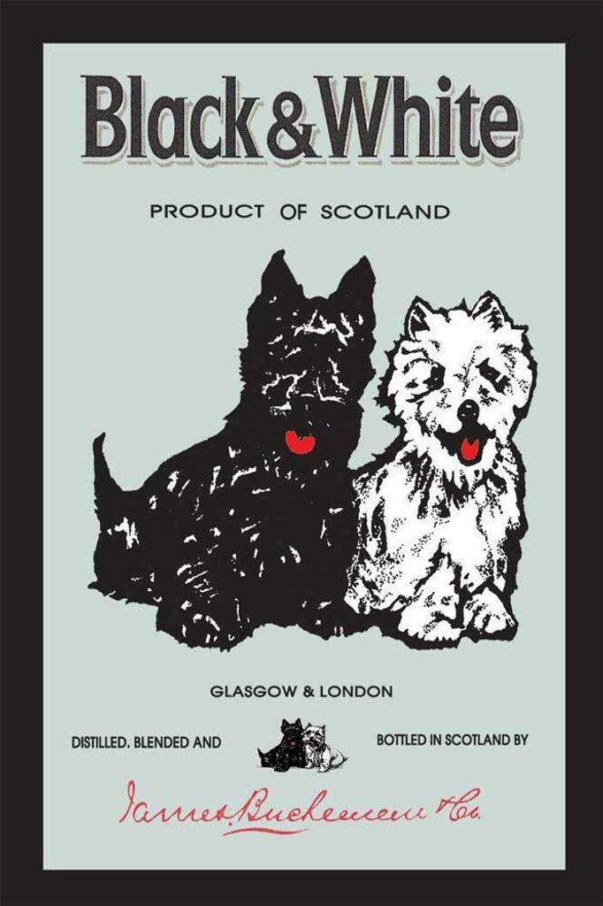 A vintage advertisement for Black & White Scotch Whisky, featuring two Scottie dogs and brand information.