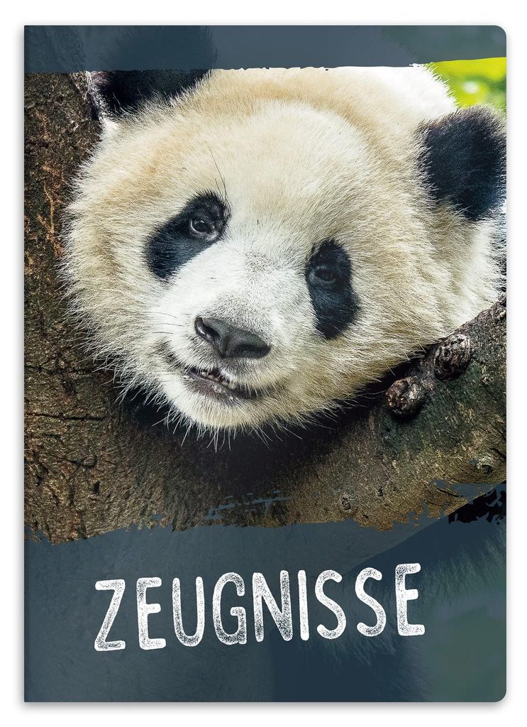 DIN A4 Urkundenmappe, stabile Dokumentenmappe, Präsentationsmappe für Urkunden mit Panda-Motiv, 20 stabile Fächer für Kinder, Jugendliche, Sch...