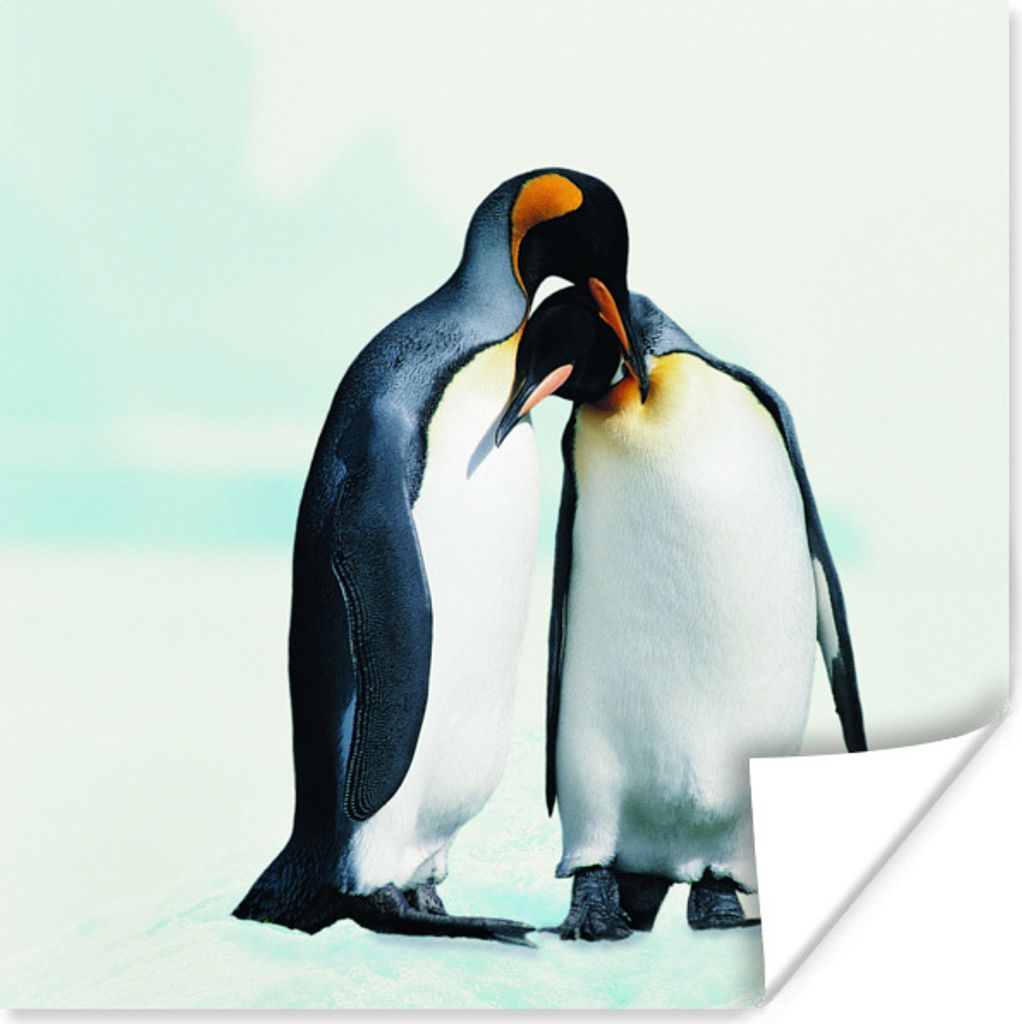 MuchoWow Poster Pinguine - Schnee - Familie 75x75 cm - Wand Dekoration