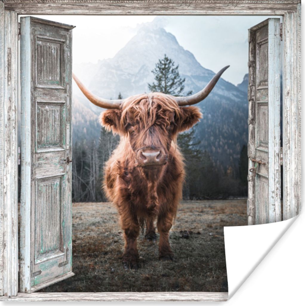 MuchoWow Poster Schottischer Highlander - Kuh - Ländlich - Ansicht 50x50 cm - Wohnzimmerdekoration