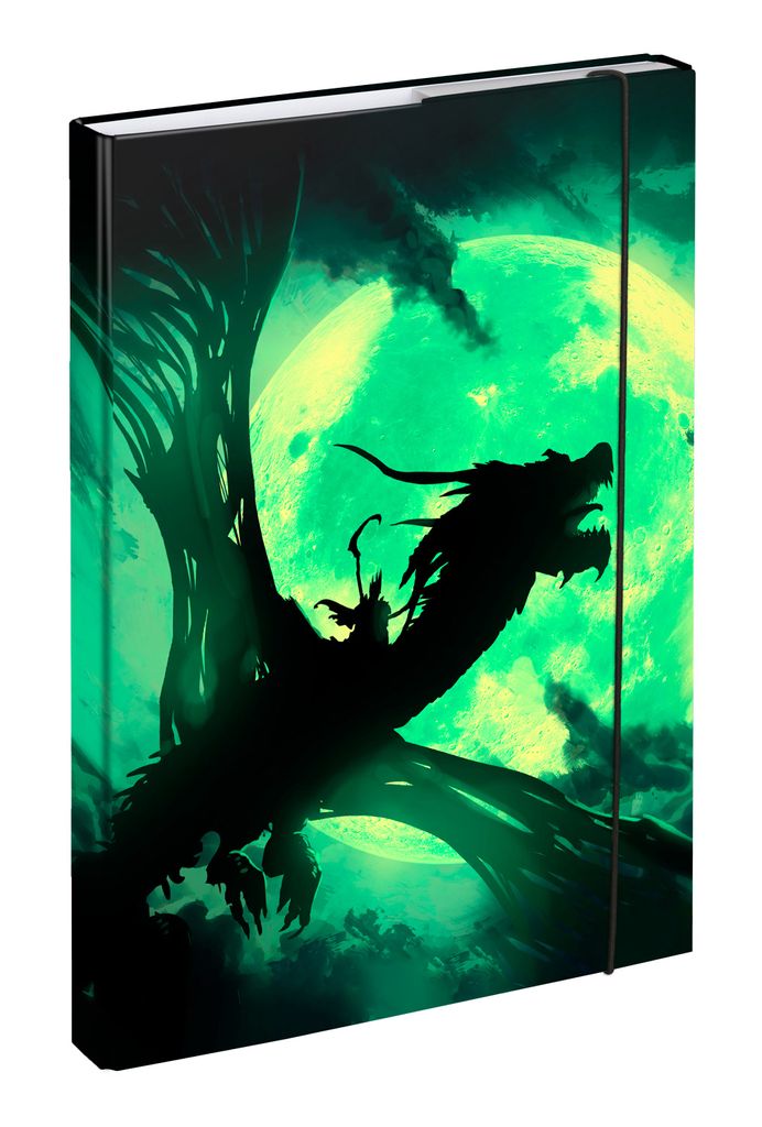 BAAGL Heftmappe A4 Drache