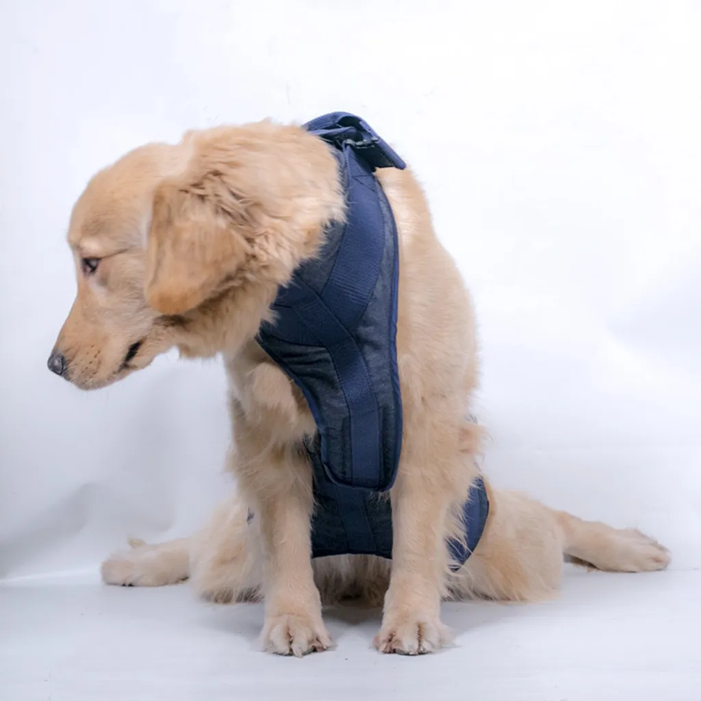 Supporto Cani XL INF per Sollevamento - Robusto e Conveniente - 2