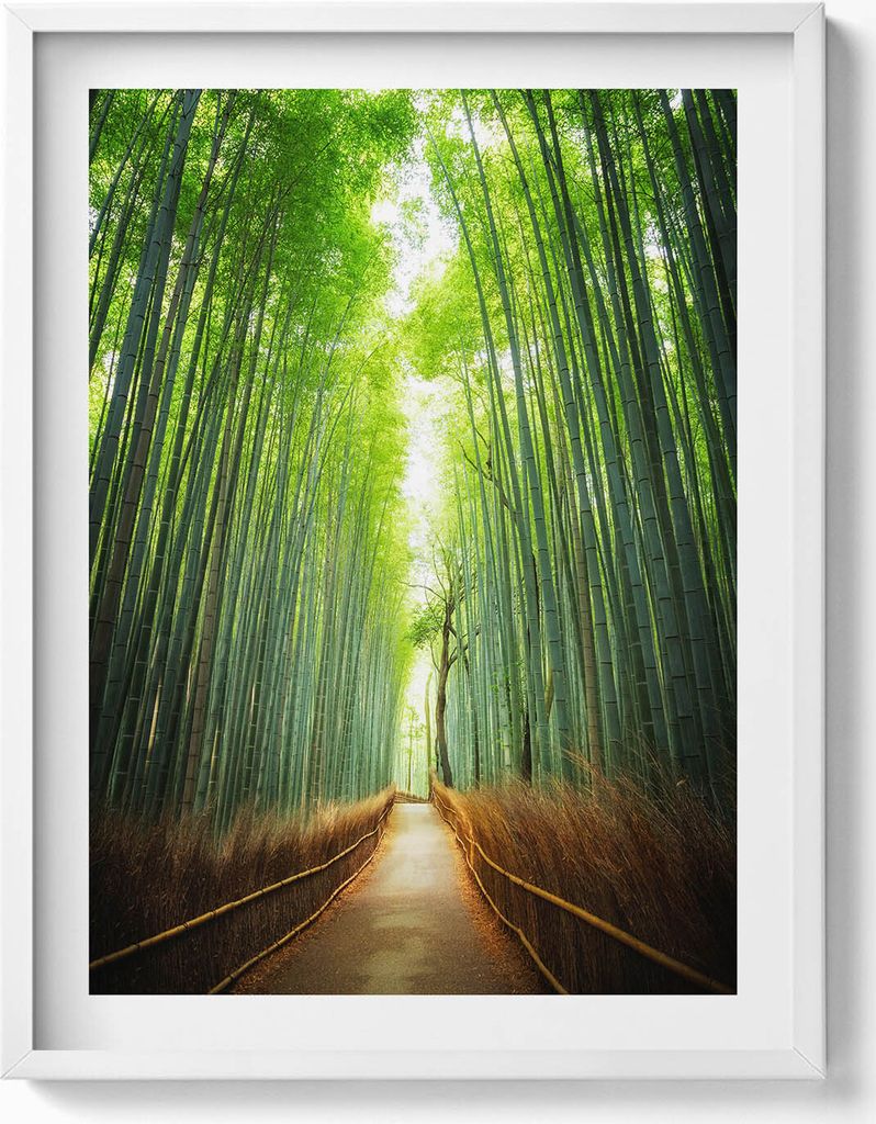 Bambuswald Arashiyama Kyoto Japan– Wandbild mit Rahmen – Gerahmtes Bild – Wanddekoration – 60x80 cm – Weiß Rahmen