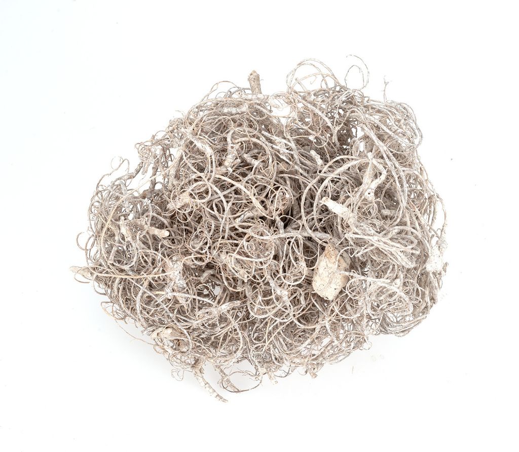 Curly Moos Weiß 50g gefrostet Deko Moos Natur Bastelmoos Produktbild 