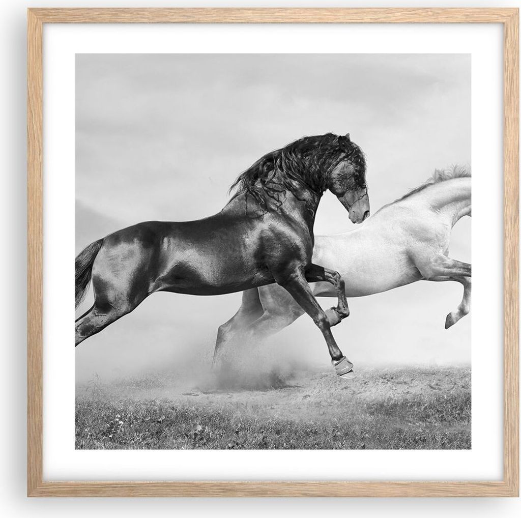 Gerahmtes Poster - Rahmen in heller Eiche - Pferde Tiere Galopp Wiese - 50x50 cm - Wand Bild - Wanddeko - Wandbilder - Wandposter - Bilderrahmen - ...