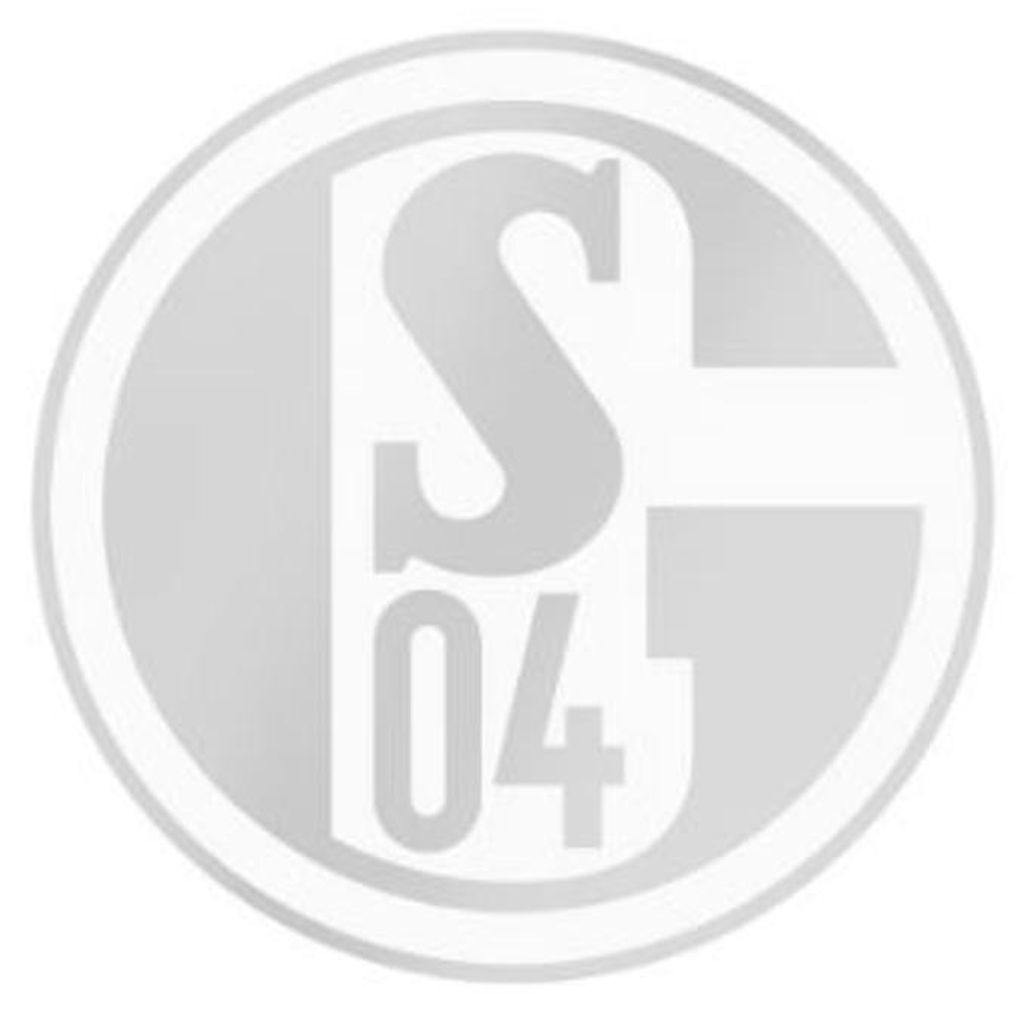 FC Schalke 04 S04 Auto-Aufkleber Silber Produktbild 