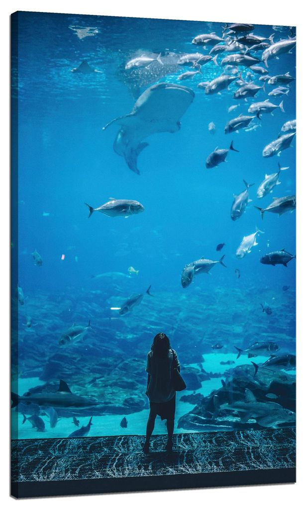 Leinwanddruck „Menschen im Aquarium“, 70 x 120 cm