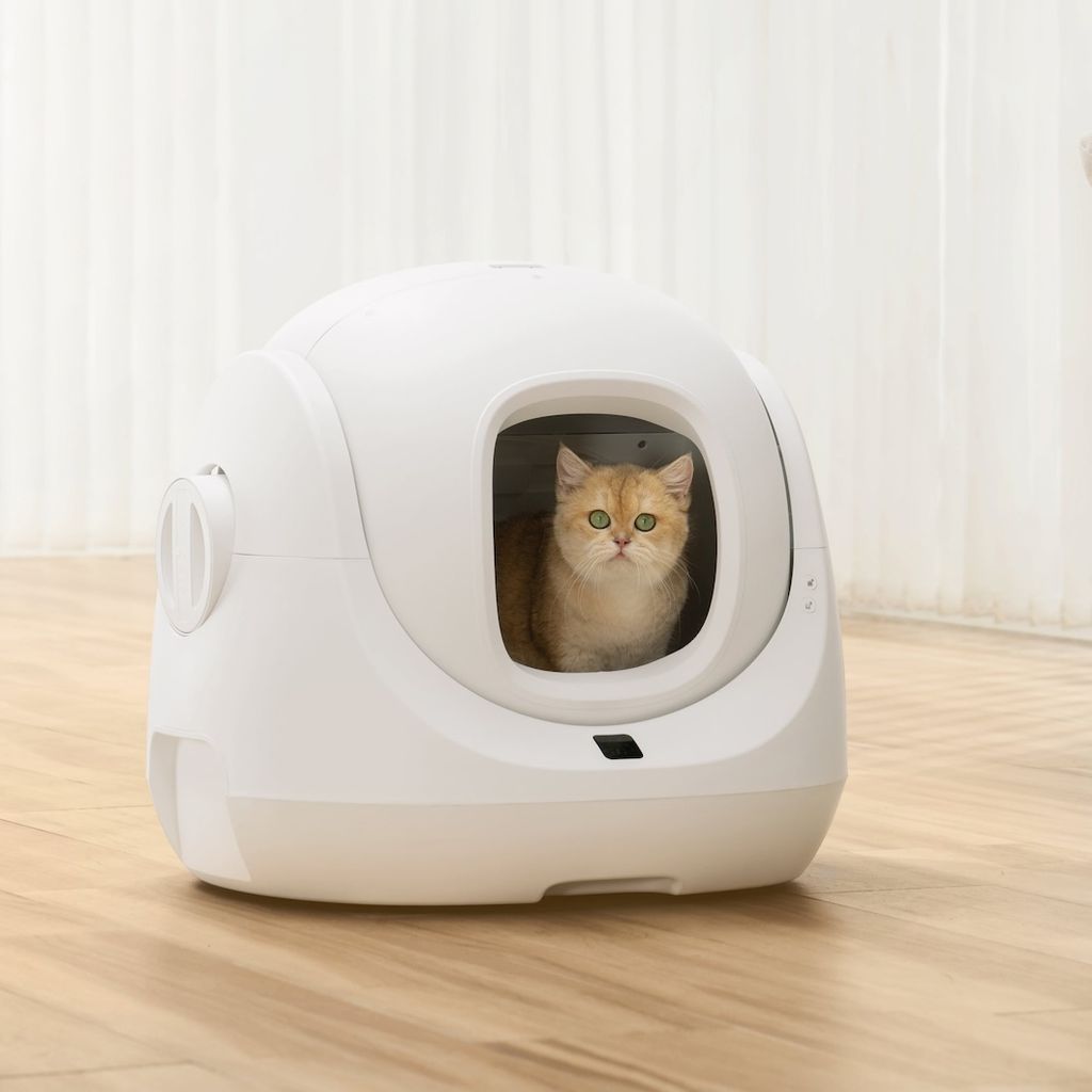 CATLINK automatisches Katzenklo Scooper SE BayMax Produktbild 18