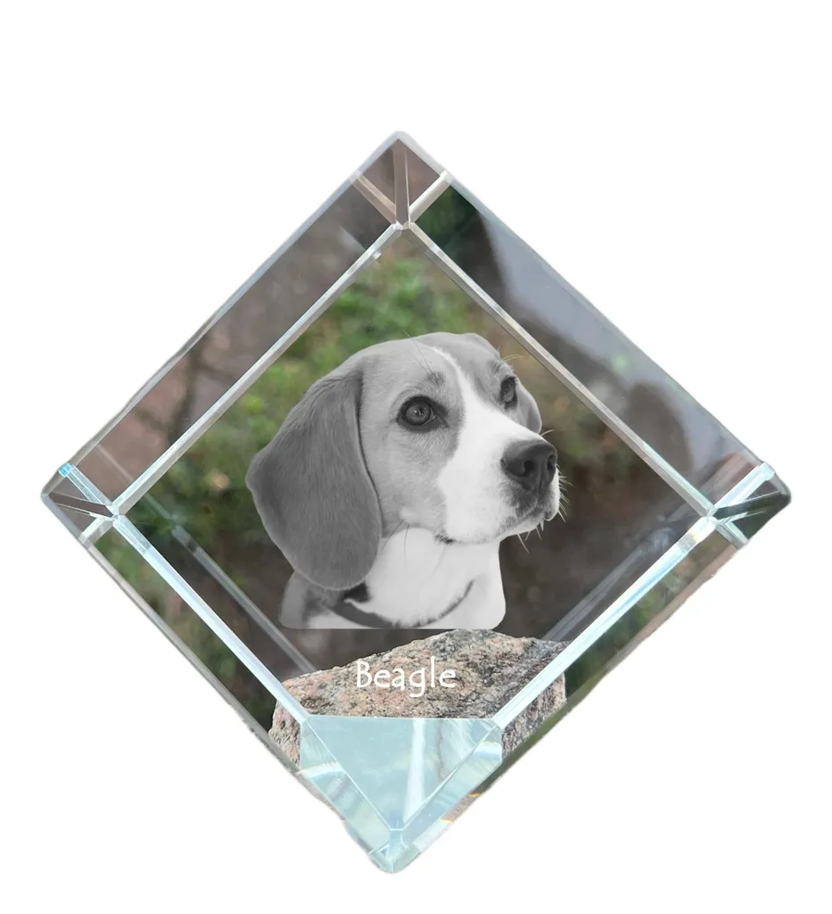 Souvenir chien Beagle - Cube en cristal gravé pour immortaliser son animal